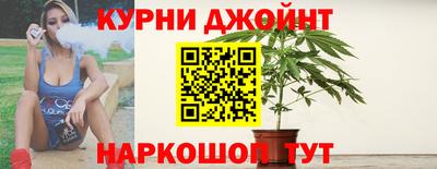 спиды Гай