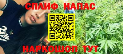 скорость Гатчина