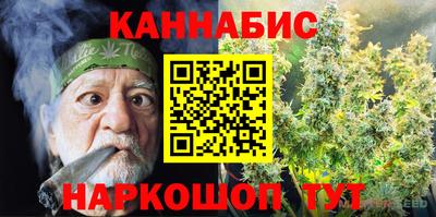 спиды Гай