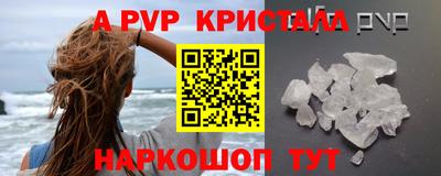 спиды Гай