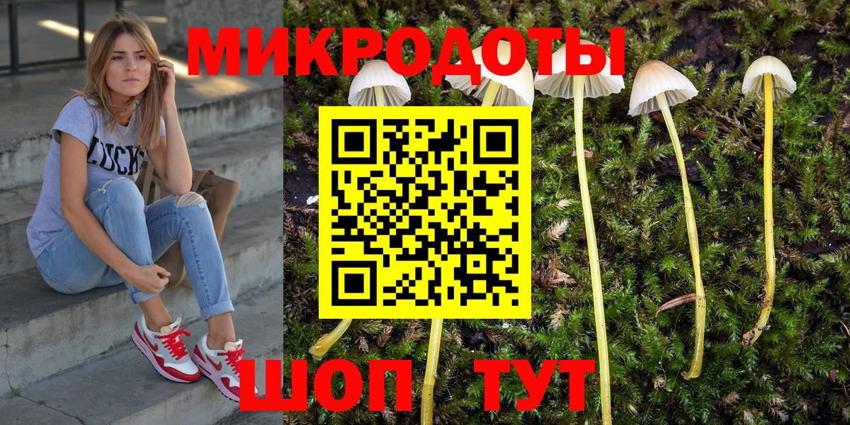 Псилоцибиновые грибы прущие грибы  как найти наркотики  Сертолово  Вход с VPN  Псилоцибиновые грибы Psilocybe 