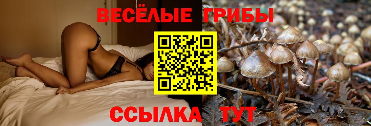 Каннабис Сертолово